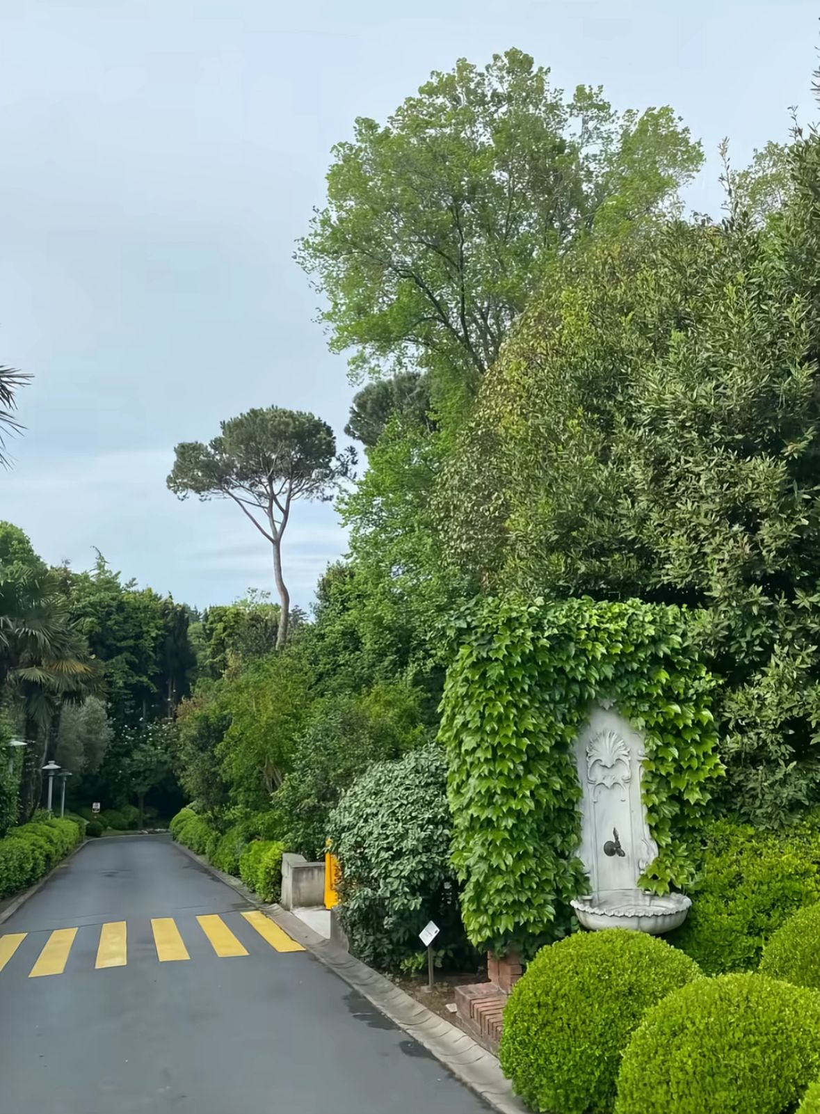 Psikodinamik Terapi Odası - Ayna ve Doğa Yansıması